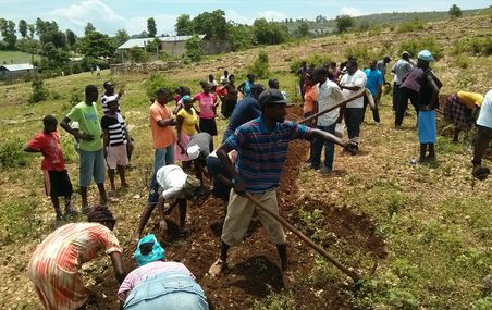 Sécurité alimentaire en Haïti