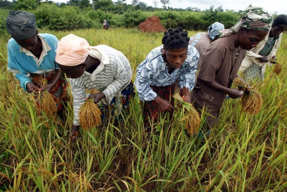 11/07/18  Accord ouest-africain sur une rglementation rgionale sur les intrants agricoles