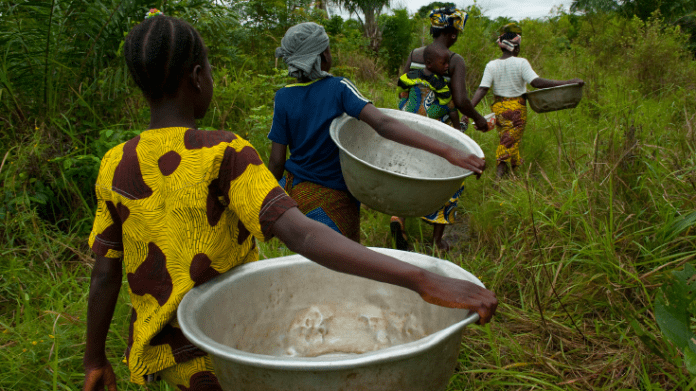 12/03/18  Le Bnin envisage des oprations du recensement national dans le secteur de lagriculture