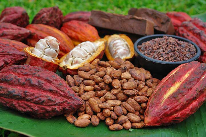 03/10/16 Augmentation de près de 12% du prix du cacao au Ghana