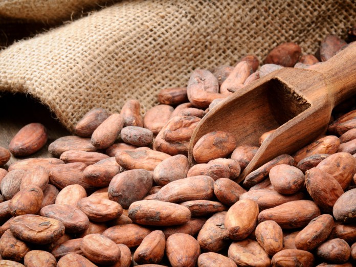 26/04/18 Le négociant américain Cargill veut accroître ses activités de transformation de cacao en Afrique