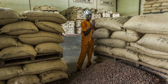 12/03/2020 En Côte d’Ivoire, les géants du cacao accroissent leur avance