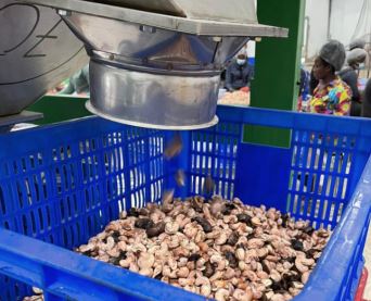 07/01/22 En Côte d’Ivoire, l’usine de transformation de cajou de Dekel Agri-Vision opérationnelle
