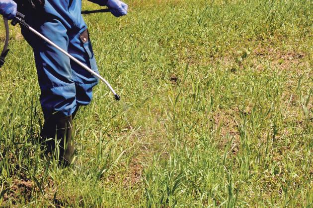 10/09/19  Nouvelle victoire contre le glyphosate : il sera totalement interdit en Allemagne d’ici 2023