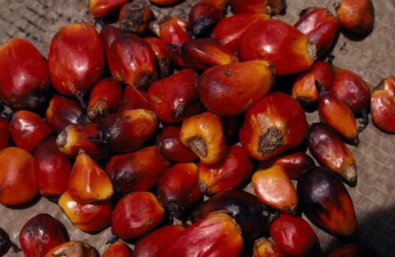 08/01/18 Olam Palm certifie Round Table for Sustainable Palm Oil