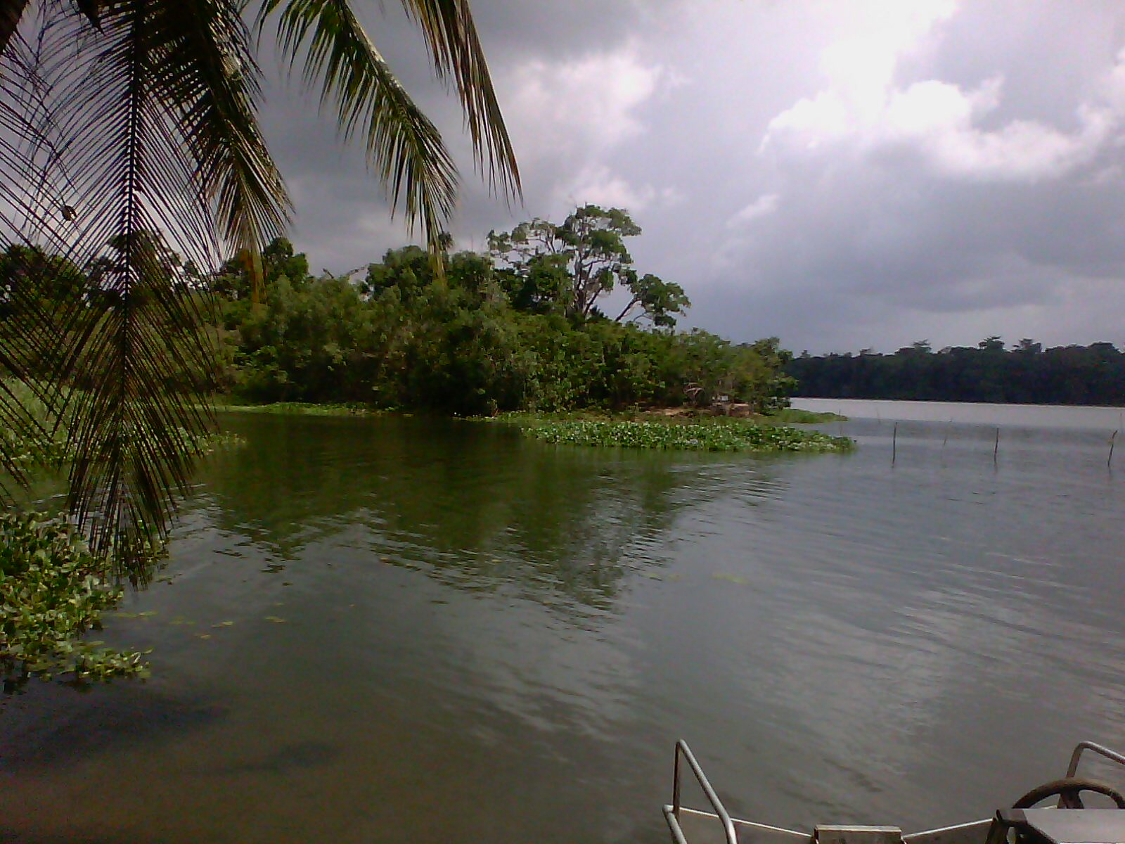 12-11-2014 LE CONSEIL DES MINISTRES EN COTE D'IVOIRE:GESTION DU DOMAINE FORESTIER DE L'ETAT