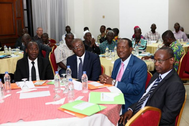 21/07/15 LE CONSEIL DU COTON ET DE L' ANACARDE ORGANISE UN ATELIER SUR LA CARTE SANITAIRE, LE CONTROLE ET LA VEILLE DU VERGER ANACARDIER