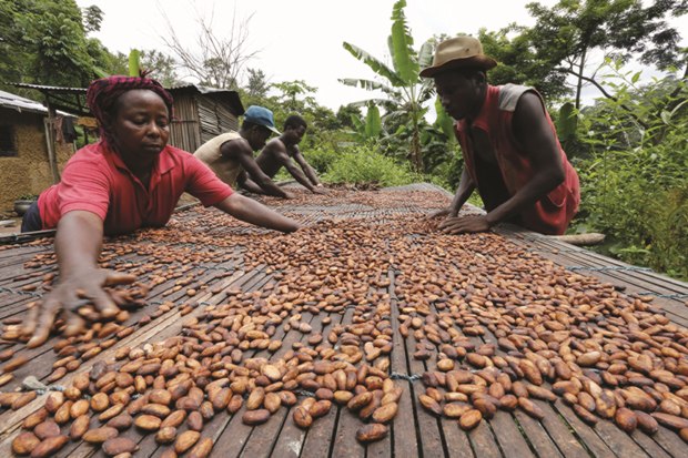 13/06/19   Ghana et Cte d'Ivoire suspendent leurs ventes de cacao