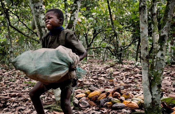 31/10/18 Nestlé et Cargill feront de nouveau, objet de poursuite pour travaux forcés dans les plantations de cacao