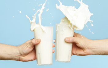 30/06/17  Joint venture dans le lait entre le groupe nigrian Chellarams Plc et lallemand DMK Group au Nigeria