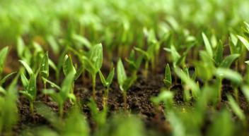 30/01/18  Questions sur lagriculture biologique ? MOOC Bio y rpond