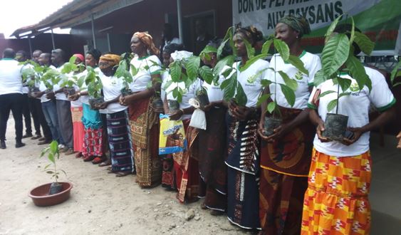 23/08/18  Plus de 10 millions de ppinires de caf  hautes productions offertes aux paysans de Cote dIvoire par le Groupe Olam