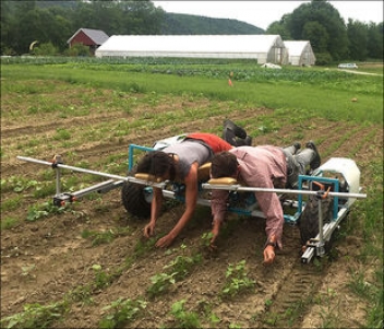 22/11/18  L'innovation dans l'agriculture va bien au-del de la technologie