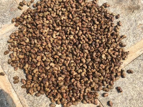 23/12/17  Lapptit pour les amandes de cajou ne se dment pas