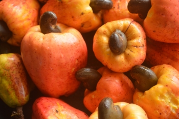 07/01/20 Le Vietnam, 1er exportateur d’amande, établit des normes pour les importations de noix de cajou brutes