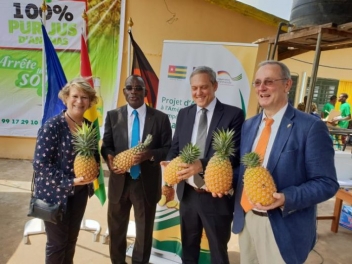 21/01/19  La transformation de lananas encourage au Togo
