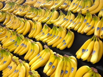 07/10/19 Bilan mitigé des mesures d'accompagnement de l'UE sur la banane en Côte d'Ivoire