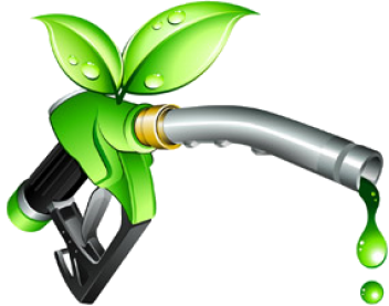 07/07/17 Les automobilistes, champions de la consommation d’huile de palme en Europe