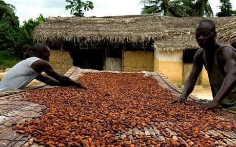 22/02/18  Le ngociant belge Sopex interdit de ngoce de cacao en Cte dIvoire pour 10 ans (CCC)