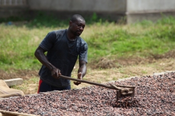 24/01/21 Cacao durable : La Côte d’Ivoire et l’Union européenne s’engagent dans un dialogue inclusif