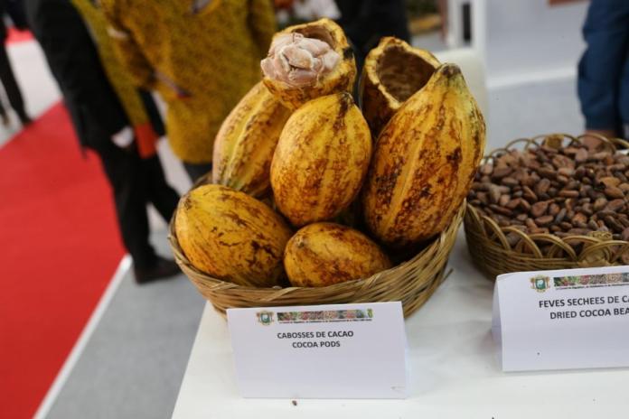 18/05/18 Les trois pays africains qui exportent 70% du cacao mondial bénéficient seulement de 3% des revenus