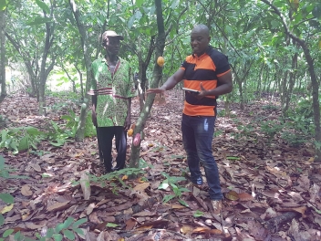 12/07/18 Technologie numrique et imagerie satellitaire pour soutenir les producteurs de cacao au Ghana