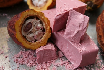 06 /11/ 19 Barry Callebaut répercutera la prime du cacao ivoirien et ghanéen à ses clients