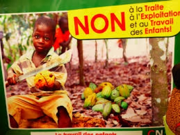 03/07/2020 Aux Etats-Unis, la Cour Suprême accepte de rouvrir la plainte contre Cargill et Nestlé sur les enfants esclaves dans le cacao