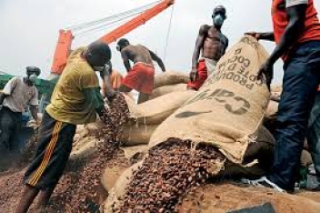 11/08/18  La filire cacao au Ghana non viable sans les subventions du gouvernement