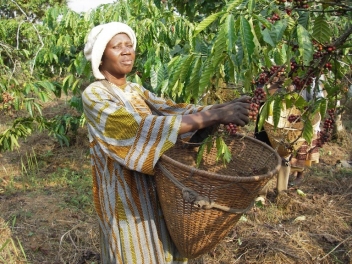 03/12/21 Le Nigeria adhère à l’Organisation internationale du café