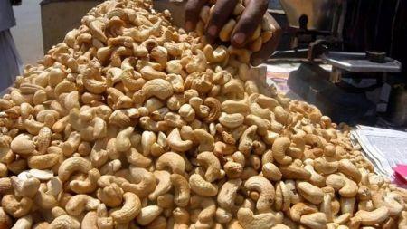 29/02/2020  Commerce de la noix de cajou en Afrique de louest : LInde et le Vietnam sont les clients potentiels du Mali