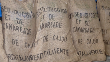 15/05/23 Hausse des exportations de noix de cajou africaines au Vietnam