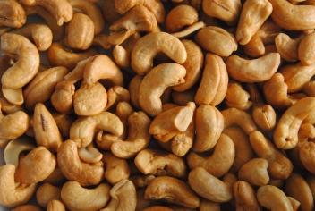 11/02/22 En Afrique de l’Ouest, la production d’amandes de cajou a grimpé de 43% en 2021