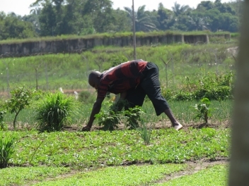 13/10/22 Un projet de budget en hausse de 18% en Côte d'Ivoire