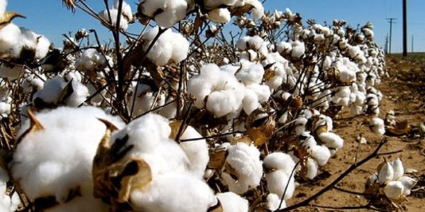 16/04/18 Lomé accueille un conclave des pays africains producteurs de coton