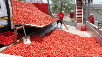 06/02/19  Le Nigeria interdira les importations de concentr de tomate dici fin 2019