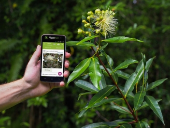 06/06/18  Pl@ntNet, une App qui identifie les plantes par limage, souvre  lAfrique tropicale