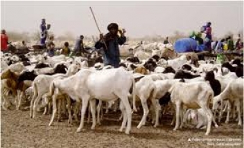 21/08/18  Le pastoralisme au Burkina Faso a-t-il un avenir ?