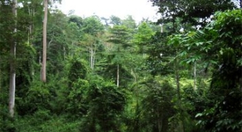 09/09/22 Les forêts au menu des conseils des ministres de Côte d’Ivoire et du Burkina Faso