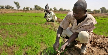 25/09/18  La GIZ consacre  3,5 millions aux petits agriculteurs de au Nigeria