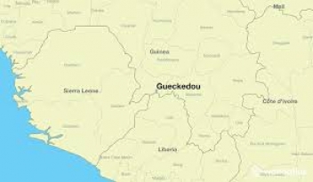 10/01/19 Les poules du Mali et les porcs de Côte d'Ivoire prospèrent en Guinée
