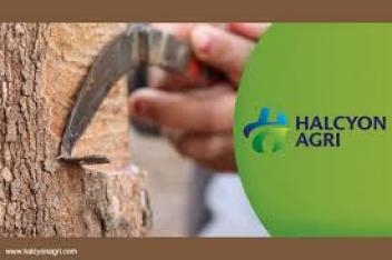 18/11/22 Sinochem vend 36% de Halcyon Agri à Hainan Rubber