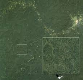 23/10/18   En Cte d'Ivoire, la surveillance par satellite des forts progresse