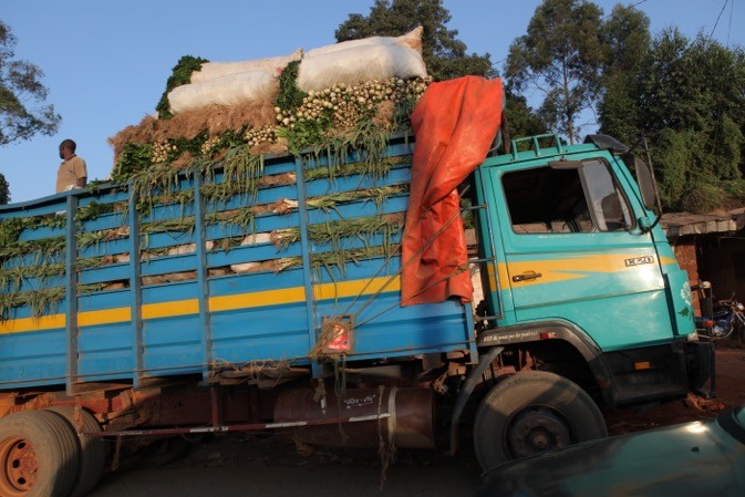 O2/O3/18 La Côte d'Ivoire abaisse à FCFA 500 son droit sur les transports