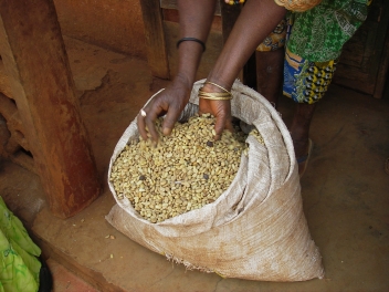 04/01/19 La Côte d'Ivoire, performer à l'export de produits agricoles mais bruts