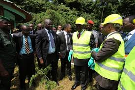 cote d'ivoire:Gouvernement Ivoirien et l'OIBT signent un accord portant appui au développement des statistiques forestières pour une gestion durable des forêts