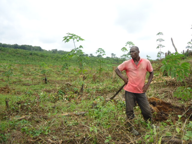 01/12/14 L'AISA MET UN SERVICE D'INFORMATIONS AGRICOLES EN LIGNE