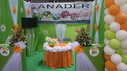 05/12/14 PROJET VISION FOR CHANGE : ICRAF ET ANADER DRESSENT LE BILAN A ADZOPE