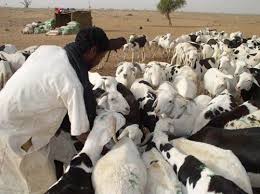 10/11/14 L’agriculture, clé du développement de l’Afrique