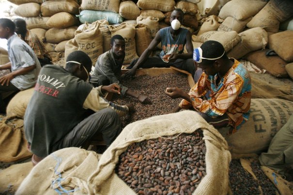 07/08/15 Côte d’Ivoire : la filière café cacao se « porte bien »